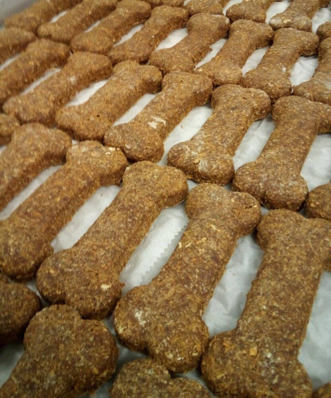 Dog Biscuits (10)